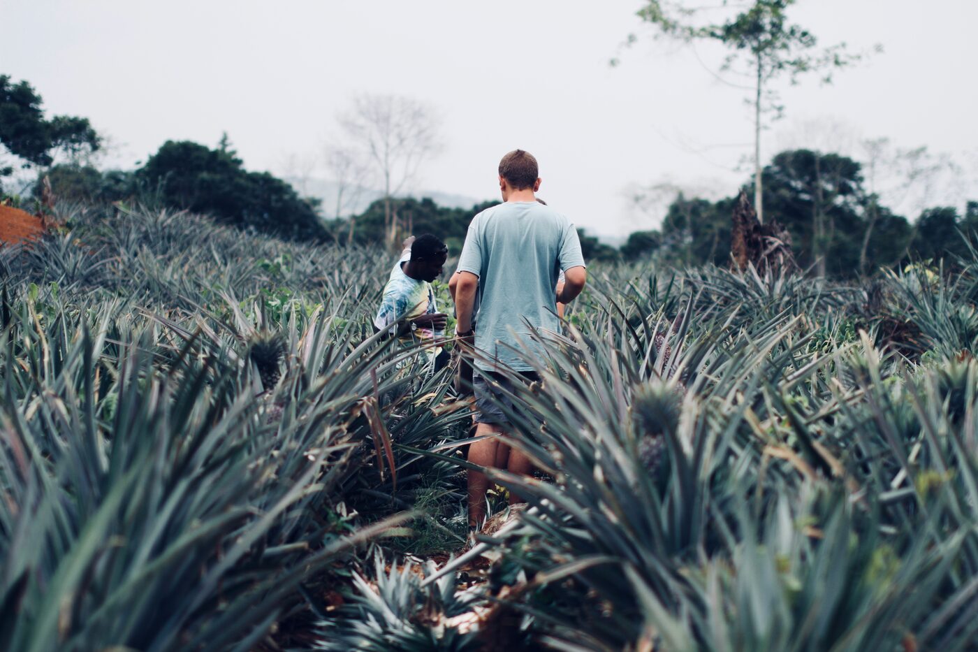 Team members walking through a community agricultural project